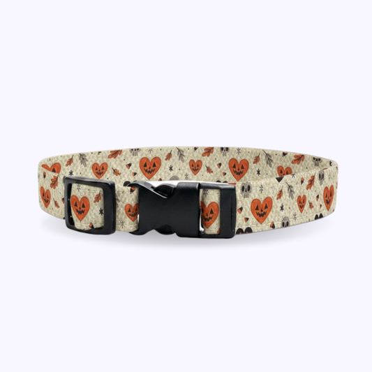 TITO-Cat Collar