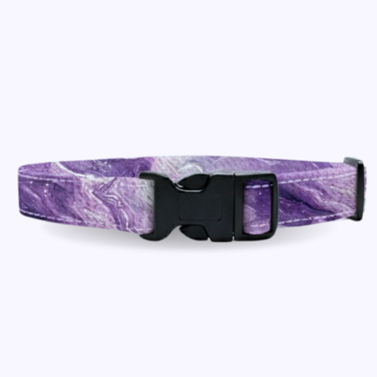 LILY-Dog Collar