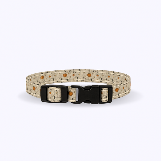 KOKY-Cat Collar