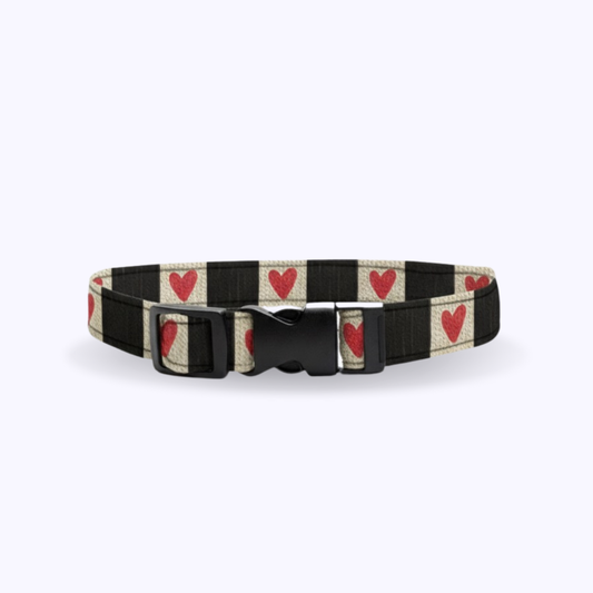 ROMEO-Cat Collar