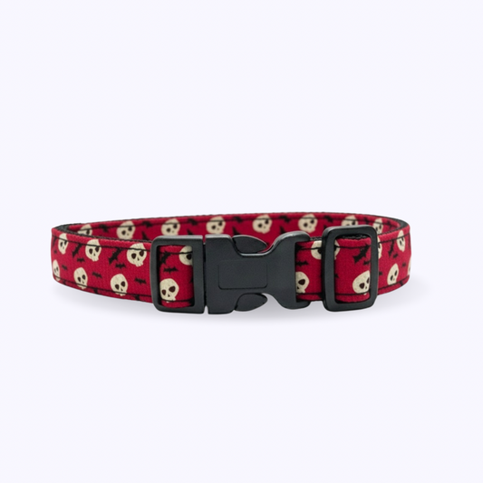 COCO-Dog Collar