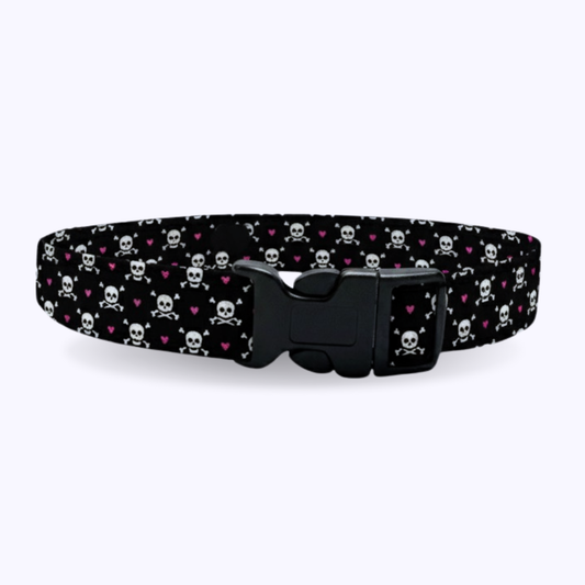BISO-Dog Collar