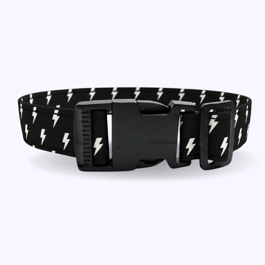 MAX-Dog Collar