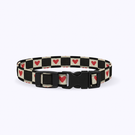 ROMEO-Cat Collar