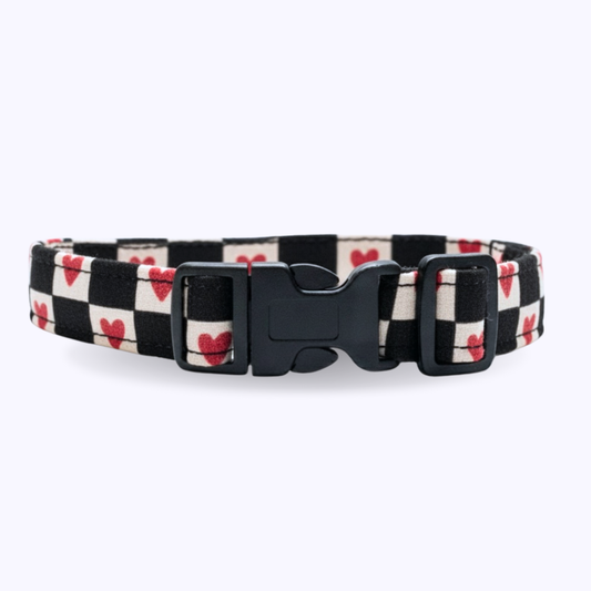 ROMEO-Dog Collar